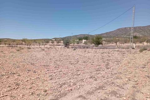 Helårsgrund i Pinoso, Alicante, Pinoso - € 39.000 | Ref: SF0515 - foto 1